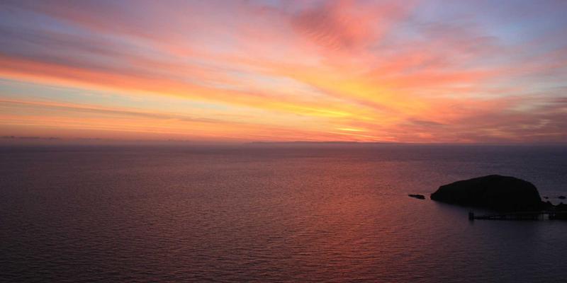 河北外贸企业风险管理必修课:短期出口信用保险操作要点与最新政策支持解读