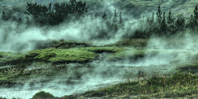 河北车主必读：车险购买避坑指南，五大条款细节决定理赔成败 | 河北鑫源保险