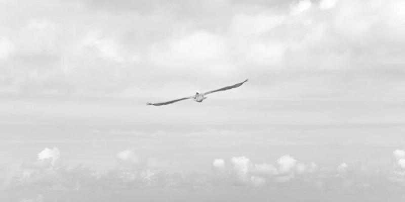 河北鑫源保险解析:家庭资产配置金字塔模型,构筑稳固财务防线