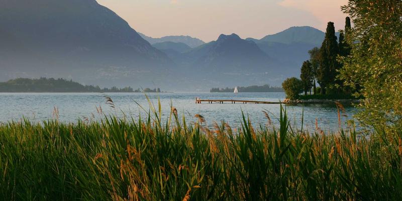 河北鑫源保险解析：终身寿险如何成为债务隔离与资产保全的法律盾牌