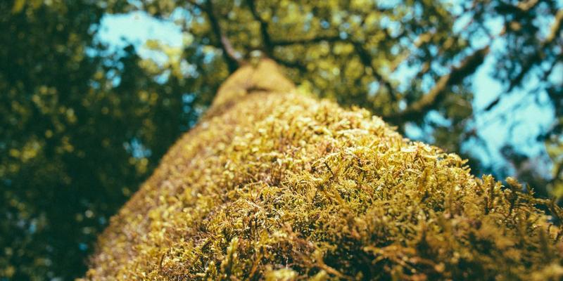 金融理财新趋势:保险与理财结合如何实现资产稳健增值?